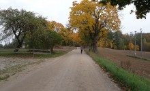 Powiat Sejny. Strabag zbuduje drogę Dworczysko - Hołny Wolmera za prawie 2 miliony zł 