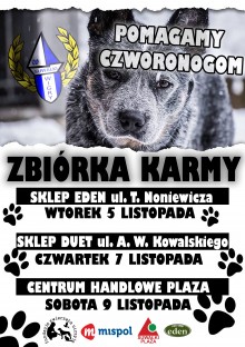 Suwalscy kibice będą zbierać karmę dla bezdomnych zwierząt