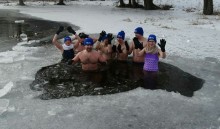 Najlepiej, gdy termometr wskazuje – 10. Pingwiny z Bakałarzewa istnieją już pięć lat