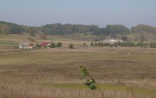 Restrukturyzacja małych gospodarstw. Premia 60 tys. zł także dla nieubezpieczonych w KRUS