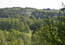 Rolniku - posadź las i weź dofinansowanie. Nawet 7 tysięcy za hektar, a przez 12 lat premie