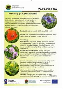 O łąkach kwietnych w Wigierskim Parku Narodowym. Warsztaty