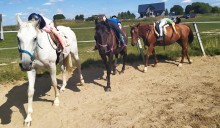 Możemy pomóc osobom chorym i niepełnosprawnym. Dołóżmy cegiełkę do budowy hali do hipoterapii