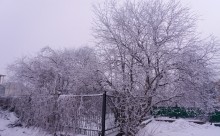 Mróz chwycił, ale już odpuszcza. W Suwałkach było -17,7°C 