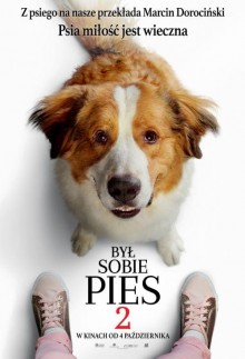 pies.jpg
