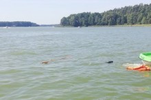 Augustowscy policjanci uratowali przed utonięciem pięć osób