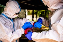 Politycy zdjęli maski, już prawie nikt nie zakrywa nosa i ust. Zakażeń przybywa, dziś koło Grajewa 