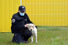 Fado - pies na przemytników [zdjęcia]