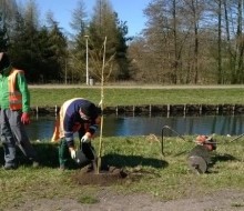 Bulwary nad Czarną Hańczą. Schronimy się w cieniu wierzby płaczącej i brzozy brodawkowatej