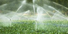 Nawadnianie. Rolnicy mogą składać wnioski do 20 lipca, mogą otrzymać do 100 tys. zł
