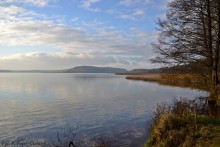 Wigierski Park Narodowy zaprasza do udziału w konkursie Maraton Wiedzy o Wigierskim Parku Narodowym
