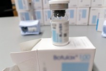 Wszystko na przemyt. Botoks w kabinie tira