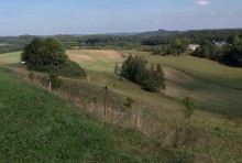 Rolniku, 10 lipca ostatnim dniem na złożenie wniosku o dopłaty bezpośrednie