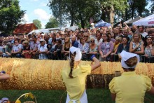 Sękacz Biruty Zimnickiej spod Puńska, Agnieszki Degutis spod Szypliszk i ten  z Puszczy Rominckiej 