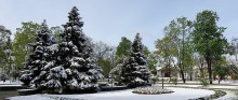 Śnieg w maju w Suwałkach pada co trzy lata. Pokrywa sięgała 5 centymetrów [zdjęcia] 