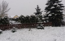 Pierwsze noce tej wiosny będą zimowe. Przy gruncie nawet -11°C