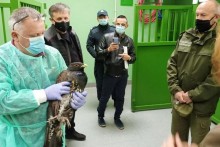 Nietypowa odprawa na przejściu granicznym. Głuszce z Białorusi do Głębokiego Brodu