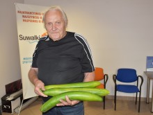 To nie cukinie, to ogórki. Kolosy wyrosły w Osowej