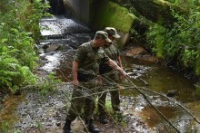 Straż Graniczna to służba dla Ciebie! Nie zwlekaj, aplikuj