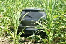 Powiat augustowski. Ucieczkę przed policją zakończył w polu kukurydzy