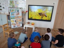 Chrońmy Pszczoły: Takie Małe – Takie Ważne. Akcja wolontariuszy Polska 2050 [zdjęcia]