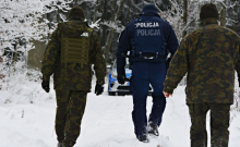 Policjanci i strażnicy kontrolują obszary leśne. Za kradzież choinki grozi nawet 5 lat więzienia