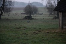 Papierosy podczepione do drona. Powietrzna kontrabanda