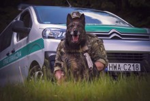 Psy mają dziś swoje święto, ale te służbowe spędzają je w pracy lub na ćwiczeniach [zdjęcia]