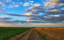 Nie będzie wyrównania dopłat bezpośrednich miedzy starymi a nowymi członkami Unii Europejskiej