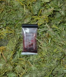 Suwalczanin wpadł z narkotykami. Zatrzymali go policjanci... z Kielc