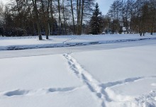Czarna Hańcza zamarzła, ostatniej nocy było -16,5°. Lepiej jednak nie przechodzić przez rzekę