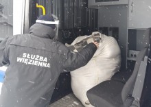 Areszt Śledczy w Suwałkach dla schronisk dla zwierząt. Pomóc przetrwać zimę  
