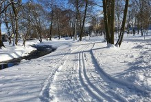 W sobotę i niedzielę lżejszy mróz, trochę słońca i dłuższy spacer. Z wtorku na środę znowu -24°C