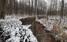 Na Suwalszczyźnie wyschło wiele rowów, a nawet strumyków. Źródła słodkiej wody