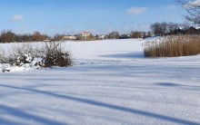 Z soboty na niedzielę temperatura w Suwałkach spadła do -23.5°C. Koniec trzaskających mrozów?
