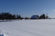 Rolnictwo. Dofinansowanie inwestycji chroniących przed ASF lub podtopieniem