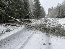Majówka pod śniegiem, a zamiast grilla silny wiatr. Strażacy wyjeżdżali kilkadziesiąt razy