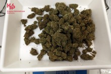 Marihuanę miał przynieść kurier