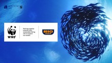 Rio Mare i WWF „Razem Dla Oceanów”