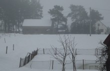 Rolnictwo. Od 1 lutego można składać wnioski o zwrot części pieniędzy wydanych na olej napędowy