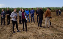 Dzień Kukurydzy w Tauroszyszkach. Siłacze, pokazy maszyn i pyszne ciasta