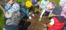 przedszkole_sadzenie_warzyw.jpg