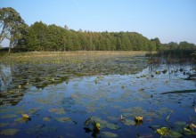 Litwa.  Sūduva zamiast Suvalkija (Suwalszczyzna)