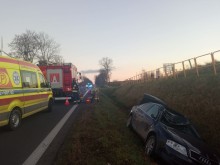 Zderzenie z łosiem i jazda zakończona w rowie. Miniony weekend w powiecie gołdapskim [zdjęcia]