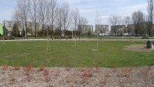 park_andersa_(1).jpg