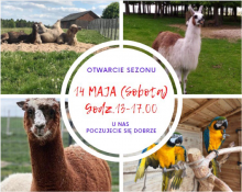 Egzotyczne zwierzęta blisko Suwałk. Otwarcie nowego sezonu w Podlaskiej Toskanii