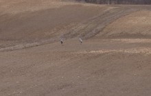 Rolnictwo. Komisja Europejska o wspieraniu rolników, wciąż bez decyzji o dopłatach do nawozów