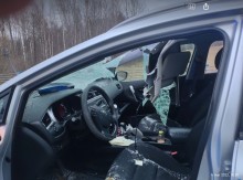 Gmina Krasnopol. Policyjny radiowóz zderzył się z łosiem