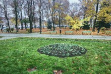 suwalki_park_konstytucji_nasadzenia_zdiz.jpeg