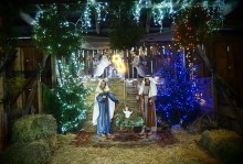 Becejły. Piękna Szopka [zdjęcia]